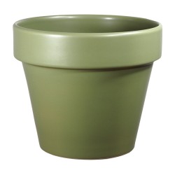 Pot Standard Rainbow Kaki...