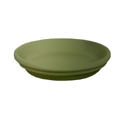 Soucoupe Rainbow Kaki En...