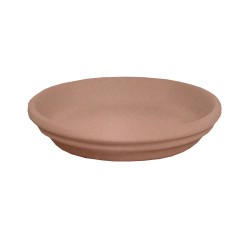 Soucoupe Rainbow Rose En...