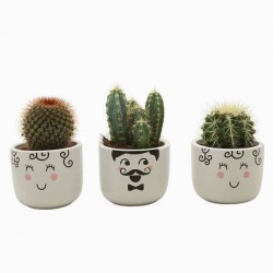 CACTUS family H15 P11.5-CERAM