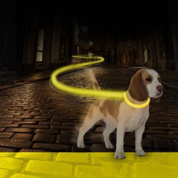 Laisse Jogging Lumineux USB...