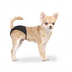 Culotte Pour Chiens XS...