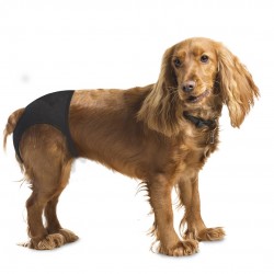 Culotte Pour Chiens M...