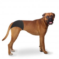Culotte Pour Chiens L...