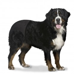Culotte Pour Chiens XXL...