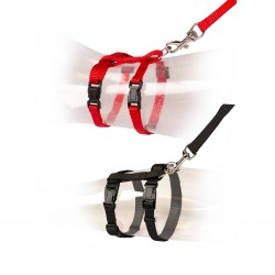 Set de promenade chat UNI...