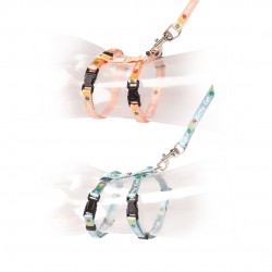 Set de promenade chaton...