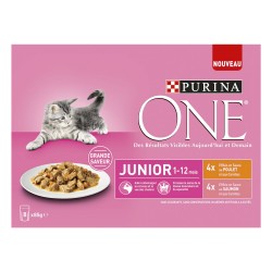Pack PURINA ONE Effilés en...