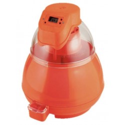 DISTRIGALLI Couveuse...