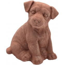 CHIOT LABRADOR GALESTRO...