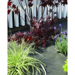 Feutre de paillage GEOTEX...