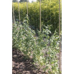 Filet à ramer TRELLINET BIO...