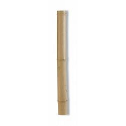 Tuteur BAMBOO DECO...