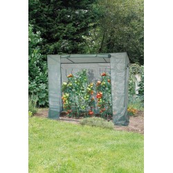 Serre spéciale tomate film...