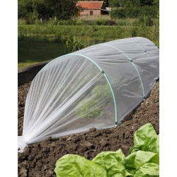 Film de forçage FILM...