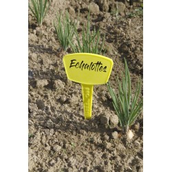 ETIQUETTES piq LABEL 35CM...
