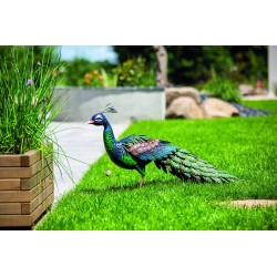 Déco Paon stylisé PEACKY...