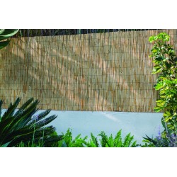 Canisse de roseau REEDCANE...