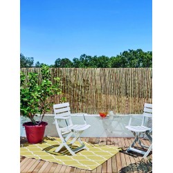 Canisse MIDCANE 1X5M