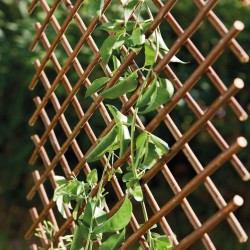 Treillis TRELLIWILLOW 1X2M
