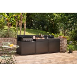 Plancha ORIGIN Gaz NR 60CM