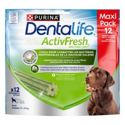 Maxipack PURINA DENTALIFE...
