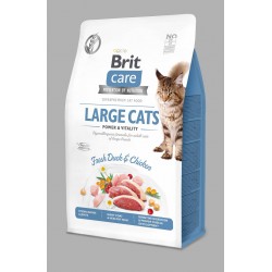 BRIT CARE GRAIN FREE...