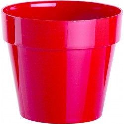 Pot STANDARD 17CM Plastique...