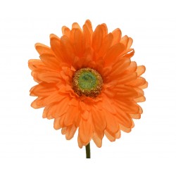 Tige De Gerbera Orange En...