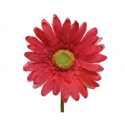 Tige De Gerbera Fuchsia En...