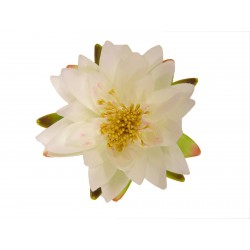 Décoration flottante fleur...