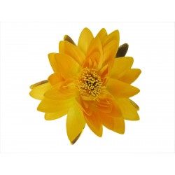 Décoration flottante fleur...