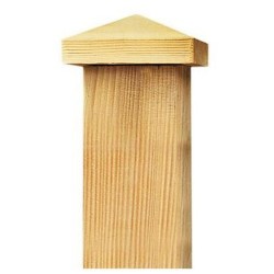 Capuchon pyramide Pin...