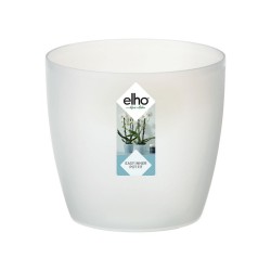 Pot Brussels orchidée...