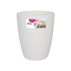 Pot haut Brussels orchidée...
