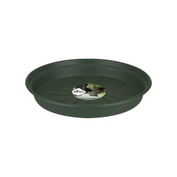 Soucoupe Green basics 10cm...