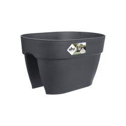 Pot Vibia campana flower...