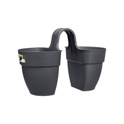 Pot Vibia campana flower...