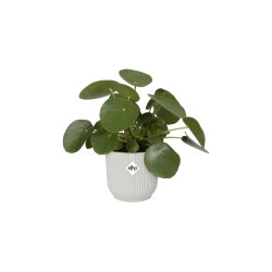Pot rond Vibes fold 30cm...