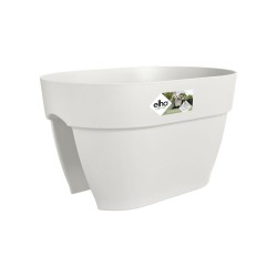 Pot Vibia campana flower...