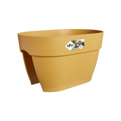Pot Vibia campana flower...