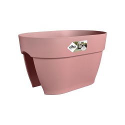 Pot Vibia campana flower...