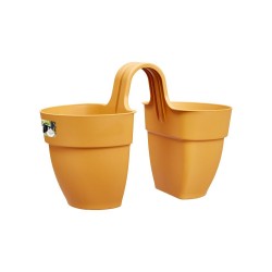 Pot Vibia campana flower...