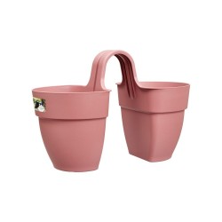 Pot Vibia campana flower...