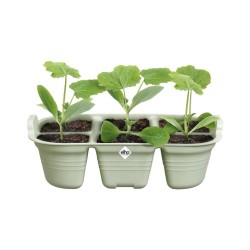 Plateau Green basics 22CM...