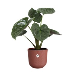 Pot jazz rond Ø30 rouge...