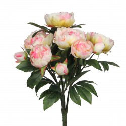 Bouquet De Pivoine  Rose...