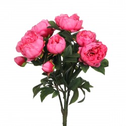 Bouquet De Pivoine  Rose...