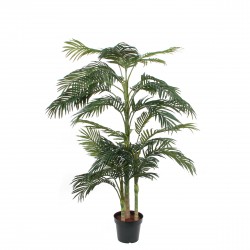 Areca Palm En Pot Vert En...