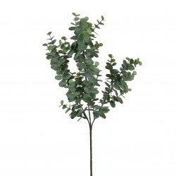 Tige D'Eucalyptus  Vert En...